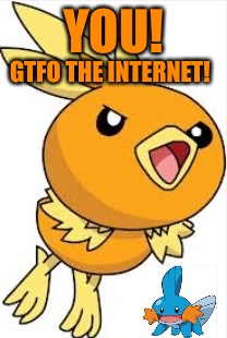 Don't liek mudkipz | YOU! GTFO THE INTERNET! | image tagged in torchic,mudkip | made w/ Imgflip meme maker