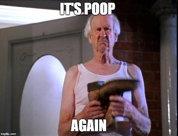 Billy Madison It's Poop again | IT'S POOP AGAIN | image tagged in billy madison it's poop again | made w/ Imgflip meme maker