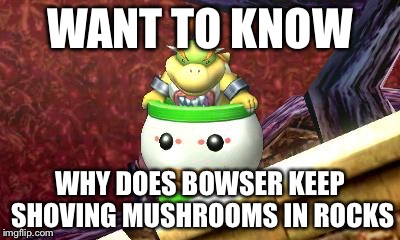 How can you even DO that?! | WANT TO KNOW; WHY DOES BOWSER KEEP SHOVING MUSHROOMS IN ROCKS | image tagged in suspicious bowser jr | made w/ Imgflip meme maker