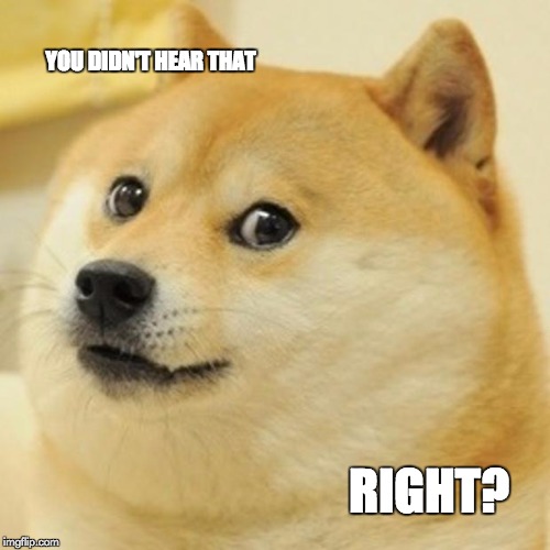 Doge | YOU DIDN'T HEAR THAT; RIGHT? | image tagged in memes,doge | made w/ Imgflip meme maker