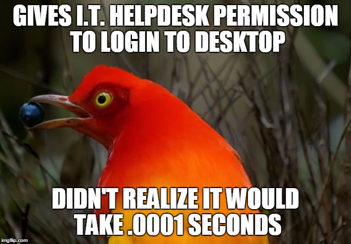 GIVES I.T. HELPDESK PERMISSION TO LOGIN TO DESKTOP; DIDN'T REALIZE IT WOULD TAKE .0001 SECONDS | image tagged in worst possible time | made w/ Imgflip meme maker