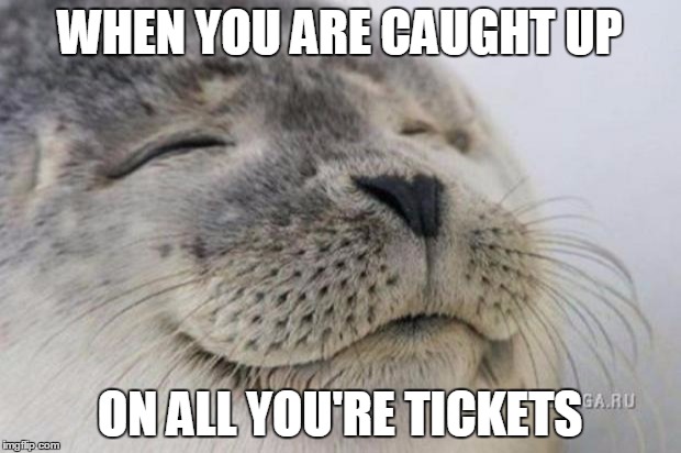 Happy Seal | WHEN YOU ARE CAUGHT UP; ON ALL YOU'RE TICKETS | image tagged in happy seal | made w/ Imgflip meme maker