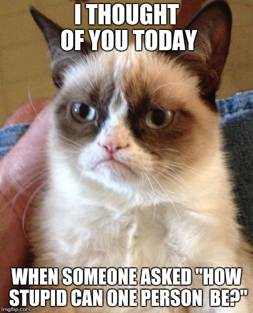 Grumpy Cat | I THOUGHT OF YOU TODAY; WHEN SOMEONE ASKED "HOW STUPID CAN ONE PERSON  BE?" | image tagged in memes,grumpy cat | made w/ Imgflip meme maker