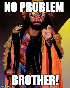 Macho Man | NO PROBLEM; BROTHER! | image tagged in macho man | made w/ Imgflip meme maker