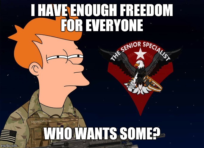 Military fry | I HAVE ENOUGH FREEDOM FOR EVERYONE; WHO WANTS SOME? | image tagged in military fry | made w/ Imgflip meme maker