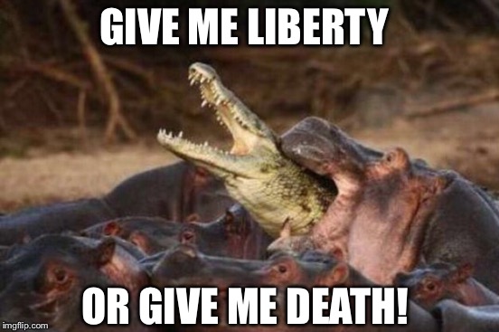 GIVE ME LIBERTY OR GIVE ME DEATH! | made w/ Imgflip meme maker