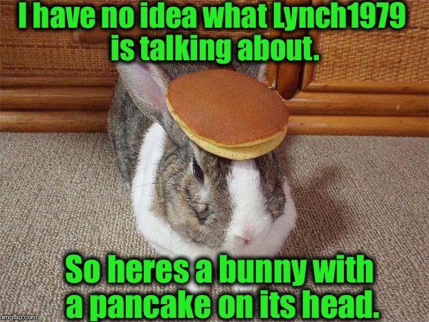 I have no idea what Lynch1979 is talking about. So heres a bunny with a pancake on its head. | made w/ Imgflip meme maker