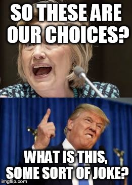SO THESE ARE OUR CHOICES? WHAT IS THIS, SOME SORT OF JOKE? | image tagged in hillary clinton,donald trump | made w/ Imgflip meme maker