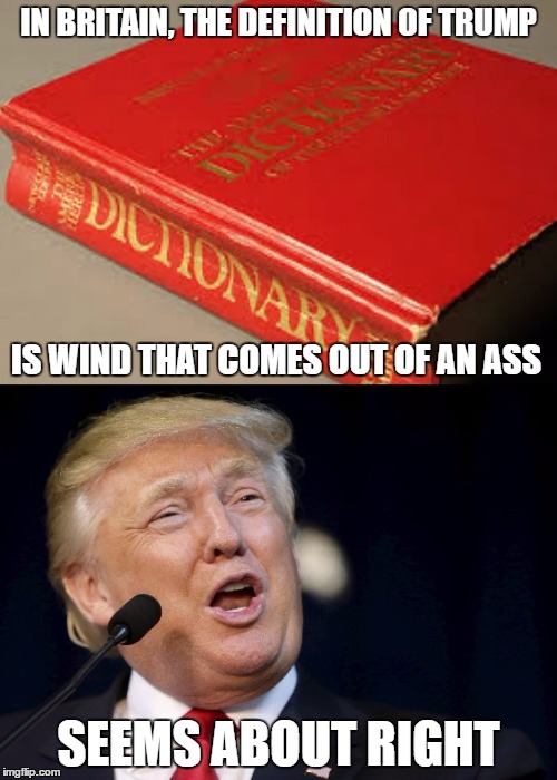 A Matter Of Definition | IN BRITAIN, THE DEFINITION OF TRUMP; IS WIND THAT COMES OUT OF AN ASS; SEEMS ABOUT RIGHT | image tagged in memes | made w/ Imgflip meme maker