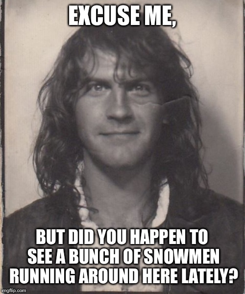 Ravin' Ivan | EXCUSE ME, BUT DID YOU HAPPEN TO SEE A BUNCH OF SNOWMEN RUNNING AROUND HERE LATELY? | image tagged in ravin' ivan | made w/ Imgflip meme maker