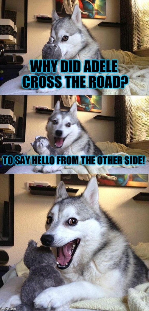 I'm being honest when I say I don't like adele. :/ | WHY DID ADELE CROSS THE ROAD? TO SAY HELLO FROM THE OTHER SIDE! | image tagged in memes,bad pun dog | made w/ Imgflip meme maker