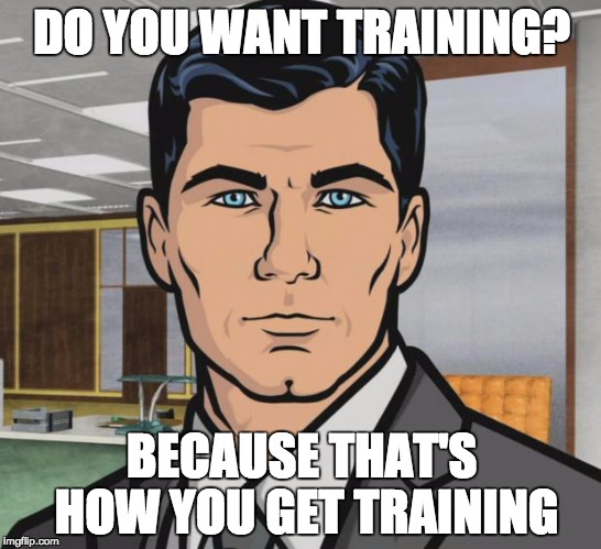 Archer | DO YOU WANT TRAINING? BECAUSE THAT'S HOW YOU GET TRAINING | image tagged in memes,archer | made w/ Imgflip meme maker