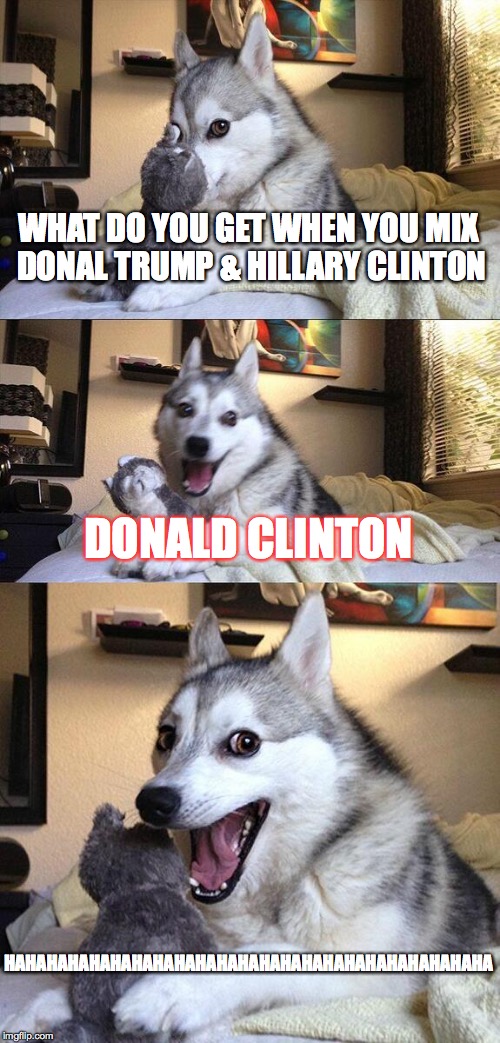 Bad Pun Dog Meme | WHAT DO YOU GET WHEN YOU MIX DONAL TRUMP & HILLARY CLINTON; DONALD CLINTON; HAHAHAHAHAHAHAHAHAHAHAHAHAHAHAHAHAHAHAHAHAHAHA | image tagged in memes,bad pun dog | made w/ Imgflip meme maker