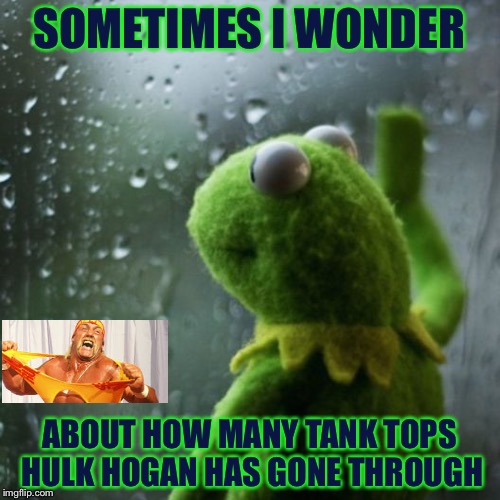 He rips them constantly, I wonder if he knows how to properly take of a shirt.... | SOMETIMES I WONDER; ABOUT HOW MANY TANK TOPS HULK HOGAN HAS GONE THROUGH | image tagged in sometimes i wonder | made w/ Imgflip meme maker