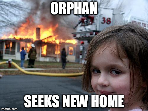Disaster Girl | ORPHAN; SEEKS NEW HOME | image tagged in memes,disaster girl | made w/ Imgflip meme maker