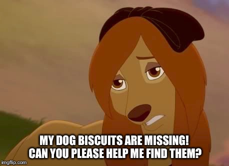 My Dog Biscuits Are Missing! | MY DOG BISCUITS ARE MISSING! CAN YOU PLEASE HELP ME FIND THEM? | image tagged in dixie,memes,disney,the fox and the hound 2,reba mcentire,dog | made w/ Imgflip meme maker