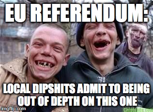 chavs | EU REFERENDUM:; LOCAL DIPSHITS ADMIT TO BEING OUT OF DEPTH ON THIS ONE | image tagged in chavs,referendum,vote,brexit,leave,remain | made w/ Imgflip meme maker