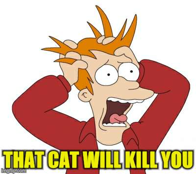 THAT CAT WILL KILL YOU | made w/ Imgflip meme maker