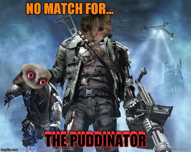 NO MATCH FOR... | made w/ Imgflip meme maker