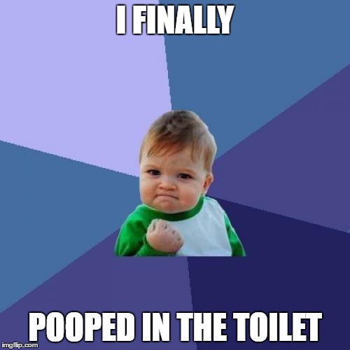 Success Kid Meme | I FINALLY; POOPED IN THE TOILET | image tagged in memes,success kid | made w/ Imgflip meme maker