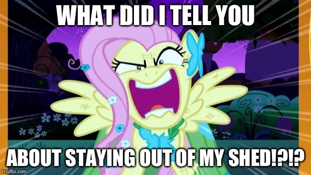 Fluttershy love | WHAT DID I TELL YOU; ABOUT STAYING OUT OF MY SHED!?!? | image tagged in fluttershy love | made w/ Imgflip meme maker