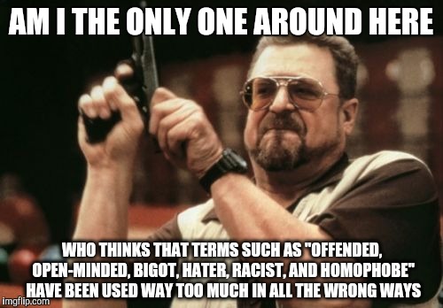 Am I The Only One Around Here | AM I THE ONLY ONE AROUND HERE; WHO THINKS THAT TERMS SUCH AS "OFFENDED, OPEN-MINDED, BIGOT, HATER, RACIST, AND HOMOPHOBE" HAVE BEEN USED WAY TOO MUCH IN ALL THE WRONG WAYS | image tagged in memes,am i the only one around here | made w/ Imgflip meme maker