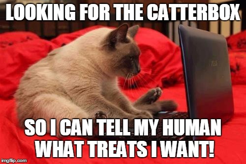 quit looking at cats online | LOOKING FOR THE CATTERBOX; SO I CAN TELL MY HUMAN WHAT TREATS I WANT! | image tagged in quit looking at cats online,cats,catterbox,gear up kitty,funny cats,funny | made w/ Imgflip meme maker