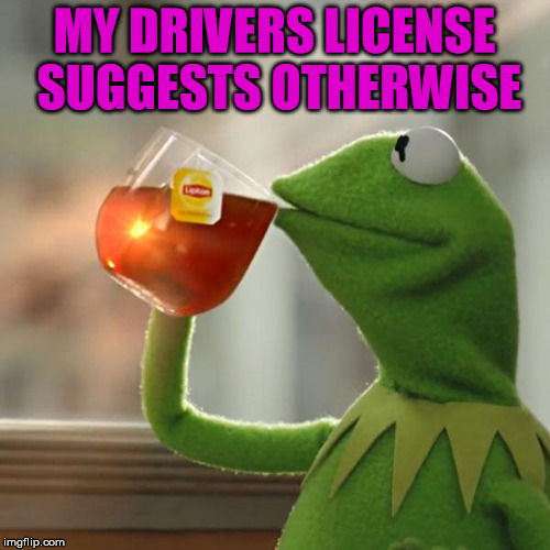 But That's None Of My Business Meme | MY DRIVERS LICENSE SUGGESTS OTHERWISE | image tagged in memes,but thats none of my business,kermit the frog | made w/ Imgflip meme maker