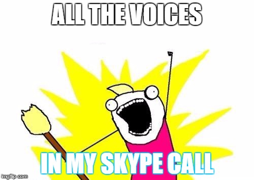 X All The Y | ALL THE VOICES; IN MY SKYPE CALL | image tagged in memes,x all the y | made w/ Imgflip meme maker