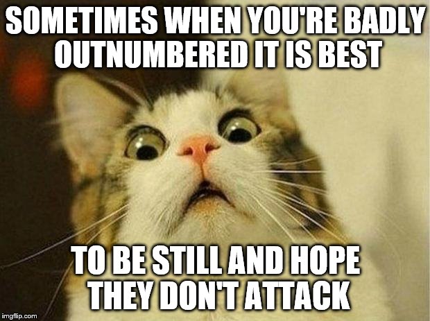 SOMETIMES WHEN YOU'RE BADLY OUTNUMBERED IT IS BEST TO BE STILL AND HOPE THEY DON'T ATTACK | made w/ Imgflip meme maker