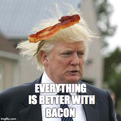 Donald Trump | EVERYTHING IS BETTER WITH; BACON | image tagged in donald trump | made w/ Imgflip meme maker