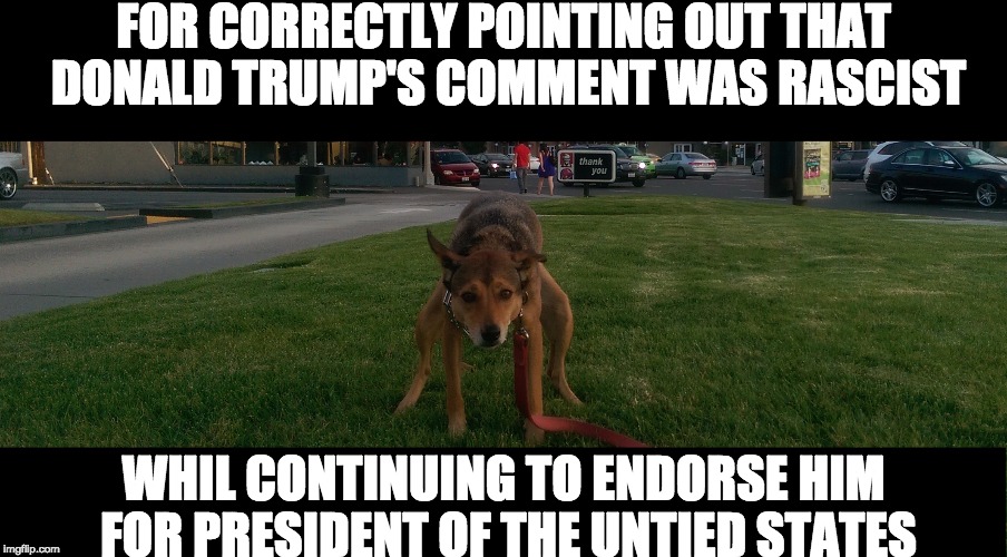 This one goes out to Paul Ryan | FOR CORRECTLY POINTING OUT THAT DONALD TRUMP'S COMMENT WAS RASCIST; WHIL CONTINUING TO ENDORSE HIM FOR PRESIDENT OF THE UNTIED STATES | image tagged in donald trump,donald trump approves | made w/ Imgflip meme maker