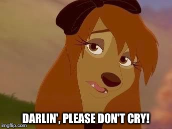 Darlin', Please Don't Cry! | DARLIN', PLEASE DON'T CRY! | image tagged in dixie melancholy,memes,disney,the fox and the hound 2,reba mcentire,dog | made w/ Imgflip meme maker