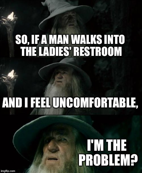 Confused Gandalf Meme | SO, IF A MAN WALKS INTO THE LADIES' RESTROOM; AND I FEEL UNCOMFORTABLE, I'M THE PROBLEM? | image tagged in memes,confused gandalf | made w/ Imgflip meme maker