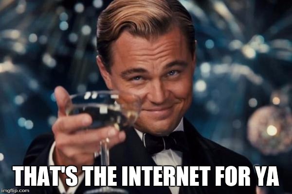 Leonardo Dicaprio Cheers Meme | THAT'S THE INTERNET FOR YA | image tagged in memes,leonardo dicaprio cheers | made w/ Imgflip meme maker