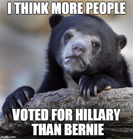 Confession Bear | I THINK MORE PEOPLE; VOTED FOR HILLARY THAN BERNIE | image tagged in memes,confession bear | made w/ Imgflip meme maker