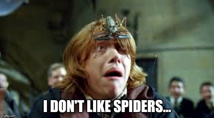 I DON'T LIKE SPIDERS... | made w/ Imgflip meme maker