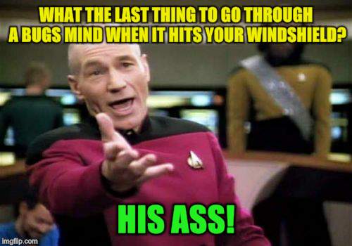 Picard Wtf Meme | WHAT THE LAST THING TO GO THROUGH A BUGS MIND WHEN IT HITS YOUR WINDSHIELD? HIS ASS! | image tagged in memes,picard wtf | made w/ Imgflip meme maker