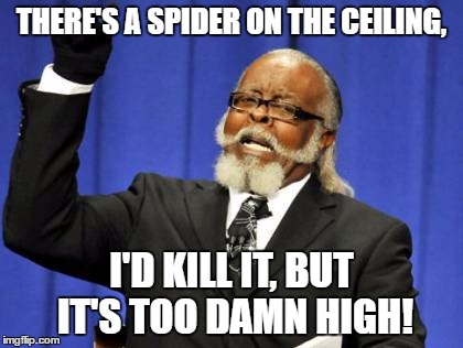 Too Damn High Meme | THERE'S A SPIDER ON THE CEILING, I'D KILL IT, BUT IT'S TOO DAMN HIGH! | image tagged in memes,too damn high | made w/ Imgflip meme maker
