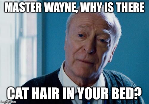 alfred | MASTER WAYNE, WHY IS THERE; CAT HAIR IN YOUR BED? | image tagged in alfred | made w/ Imgflip meme maker