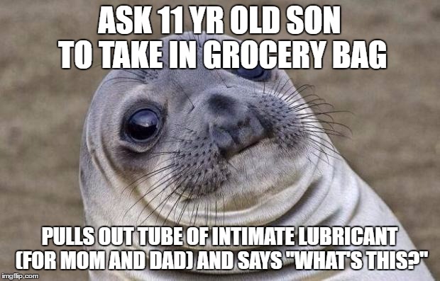 Awkward Moment Sealion | ASK 11 YR OLD SON TO TAKE IN GROCERY BAG; PULLS OUT TUBE OF INTIMATE LUBRICANT (FOR MOM AND DAD) AND SAYS "WHAT'S THIS?" | image tagged in memes,awkward moment sealion,AdviceAnimals | made w/ Imgflip meme maker