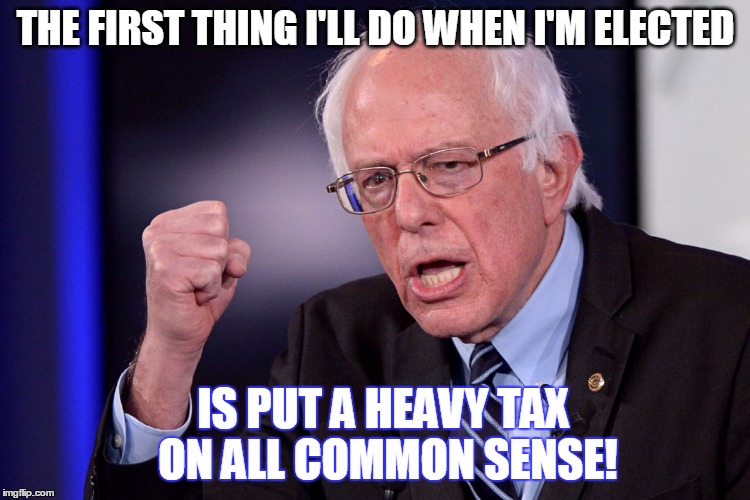 THE FIRST THING I'LL DO WHEN I'M ELECTED IS PUT A HEAVY TAX ON ALL COMMON SENSE! | made w/ Imgflip meme maker