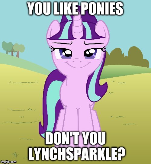 Don't You Starlight Glimmer | YOU LIKE PONIES DON'T YOU LYNCHSPARKLE? | image tagged in don't you starlight glimmer | made w/ Imgflip meme maker