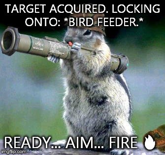 Bazooka Squirrel | TARGET ACQUIRED. LOCKING ONTO: *BIRD FEEDER.*; READY... AIM... FIRE 🔥 | image tagged in memes,bazooka squirrel | made w/ Imgflip meme maker