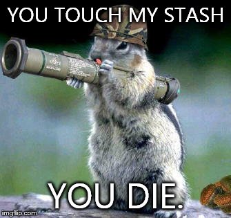 Bazooka Squirrel | YOU TOUCH MY STASH; YOU DIE. | image tagged in memes,bazooka squirrel | made w/ Imgflip meme maker