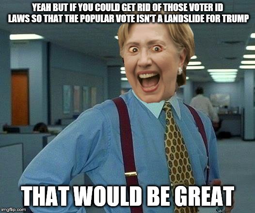 That Would Be Great Meme | YEAH BUT IF YOU COULD GET RID OF THOSE VOTER ID LAWS SO THAT THE POPULAR VOTE ISN'T A LANDSLIDE FOR TRUMP THAT WOULD BE GREAT | image tagged in memes,that would be great | made w/ Imgflip meme maker