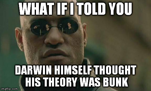 Matrix Morpheus Meme | WHAT IF I TOLD YOU DARWIN HIMSELF THOUGHT HIS THEORY WAS BUNK | image tagged in memes,matrix morpheus | made w/ Imgflip meme maker