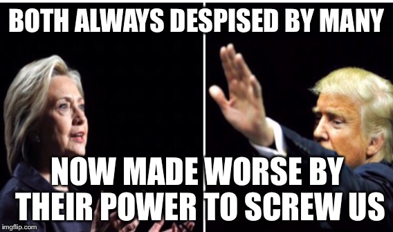 BOTH ALWAYS DESPISED BY MANY NOW MADE WORSE BY THEIR POWER TO SCREW US | made w/ Imgflip meme maker