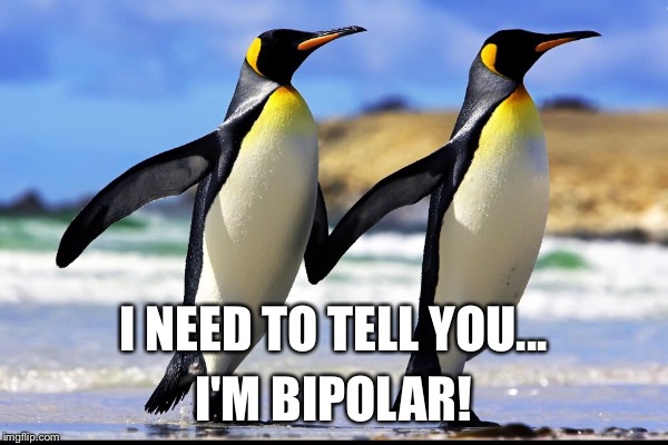 Long Distance Relationships | I NEED TO TELL YOU... I'M BIPOLAR! | image tagged in memes,penguins,mental illness | made w/ Imgflip meme maker