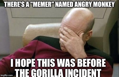 Captain Picard Facepalm | THERE'S A "MEMER" NAMED ANGRY MONKEY; I HOPE THIS WAS BEFORE THE GORILLA INCIDENT | image tagged in memes,captain picard facepalm | made w/ Imgflip meme maker